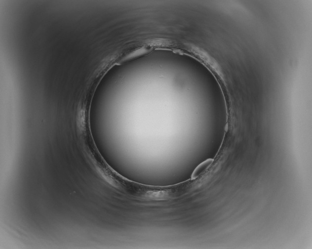 X0000114190057200910161213