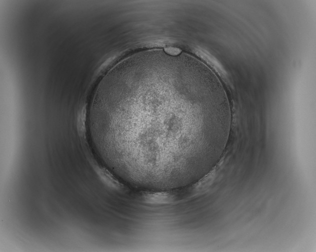 X0000114190058200910161213