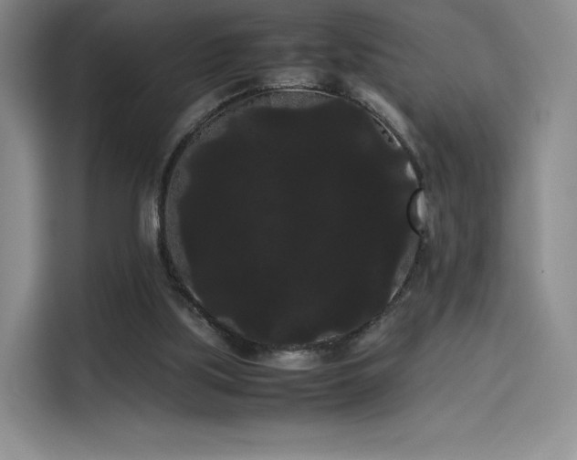 X0000114190059200910161213
