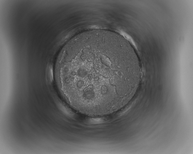 X0000114190061200910161213