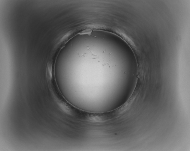 X0000114190062200910161213
