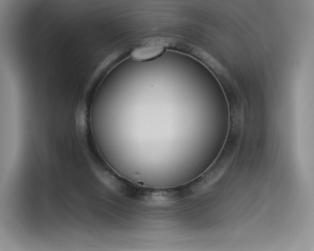 X0000114190064200910161213