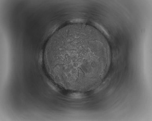 X0000114190065200910161213