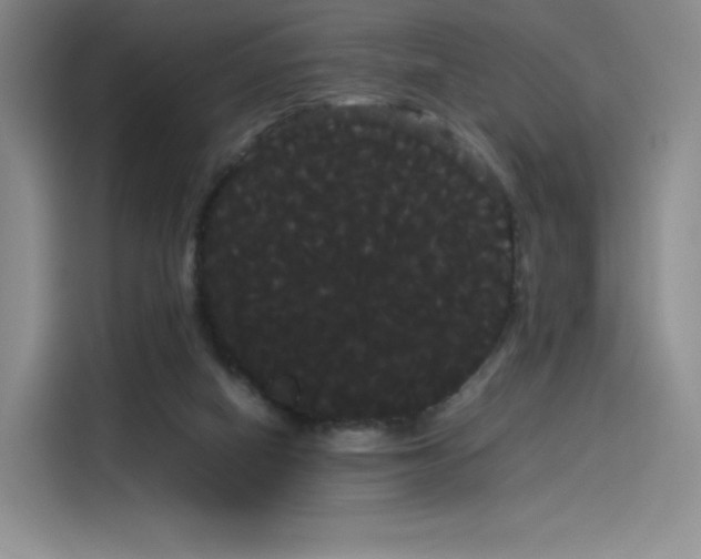 X0000114190066200910161213
