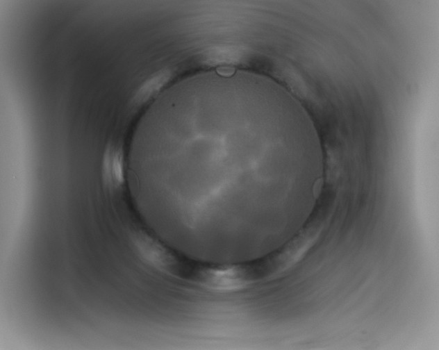 X0000114190068200910161213