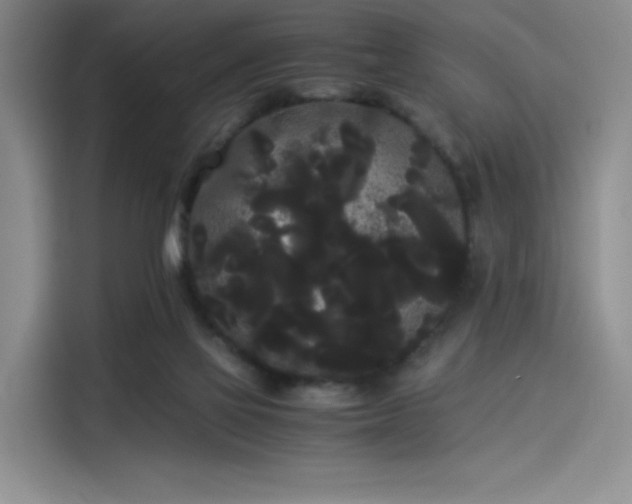 X0000114190069200910161213