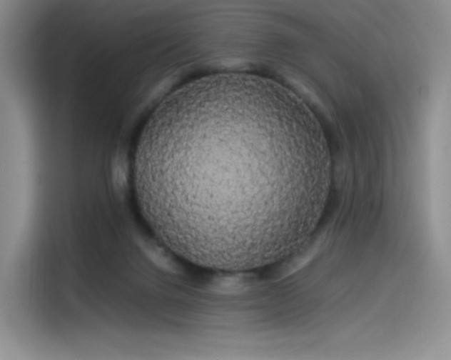 X0000114190072200910161213