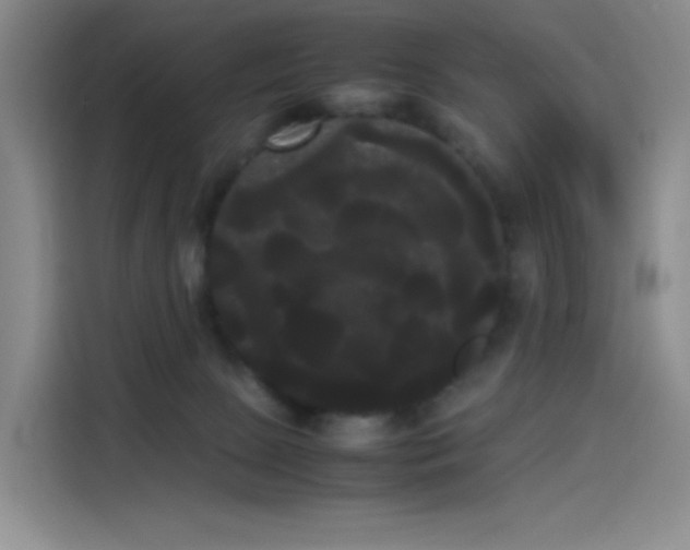 X0000114190081200910161213