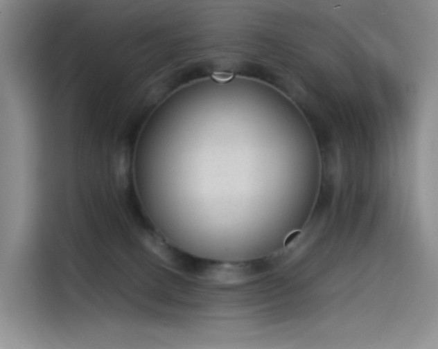 X0000114190082200910161213