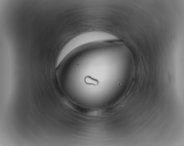X0000114190084200910161213