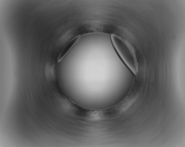 X0000114190088200910161213
