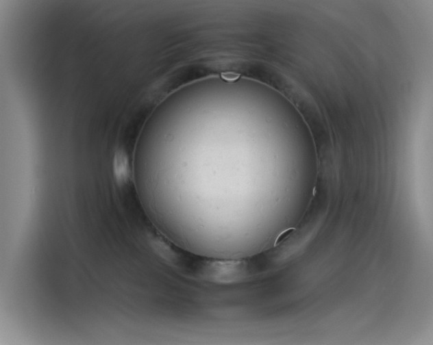 X0000114190089200910161213