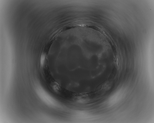 X0000114190095200910161213