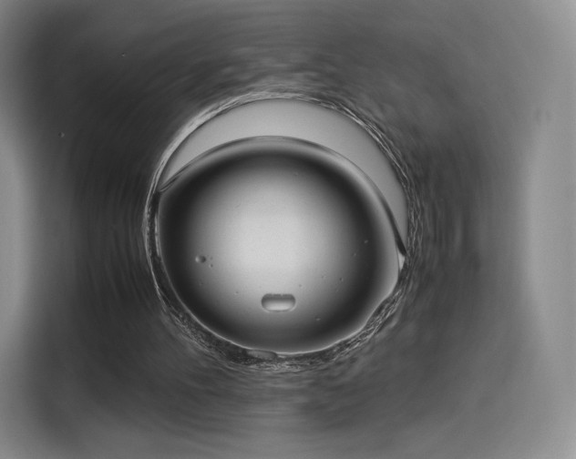 X0000114190100200910161213