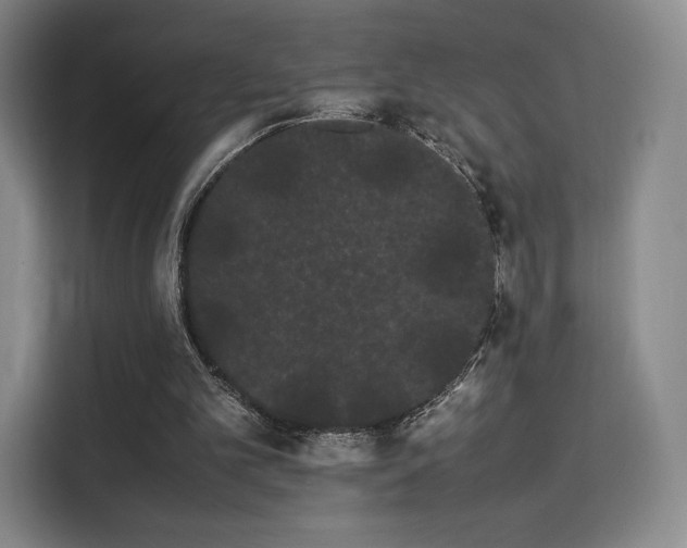 X0000114190101200910161213