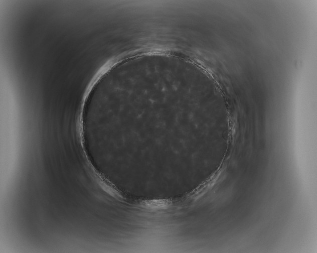 X0000114190102200910161213