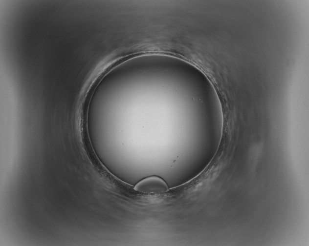 X0000114190103200910161213