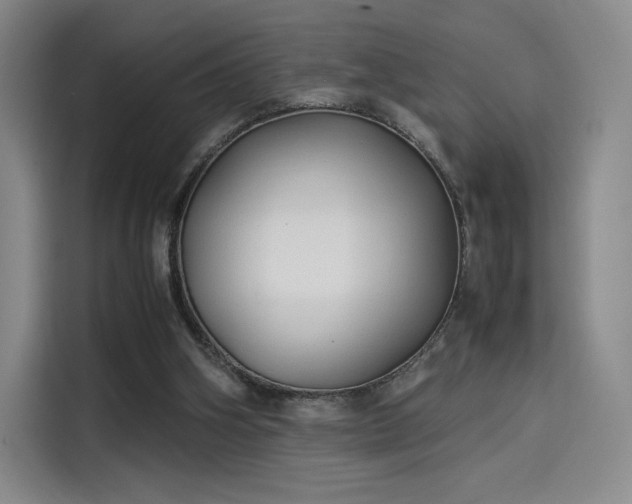 X0000114190106200910161213