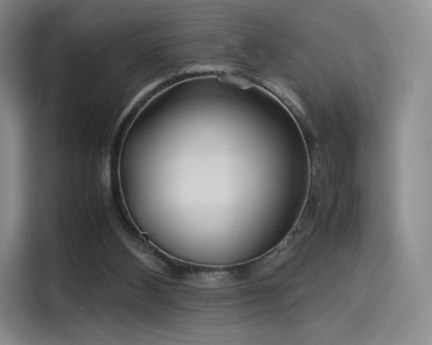 X0000114190108200910161213