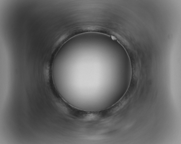 X0000114190111200910161212