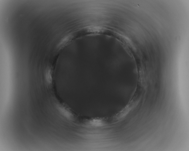 X0000114190114200910161212