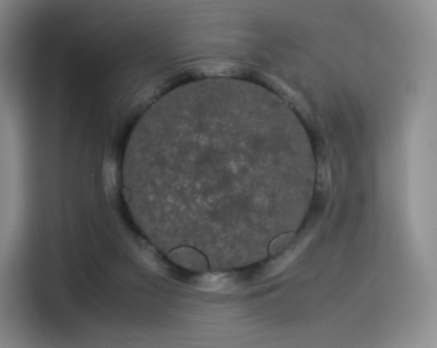 X0000114190117200910161212