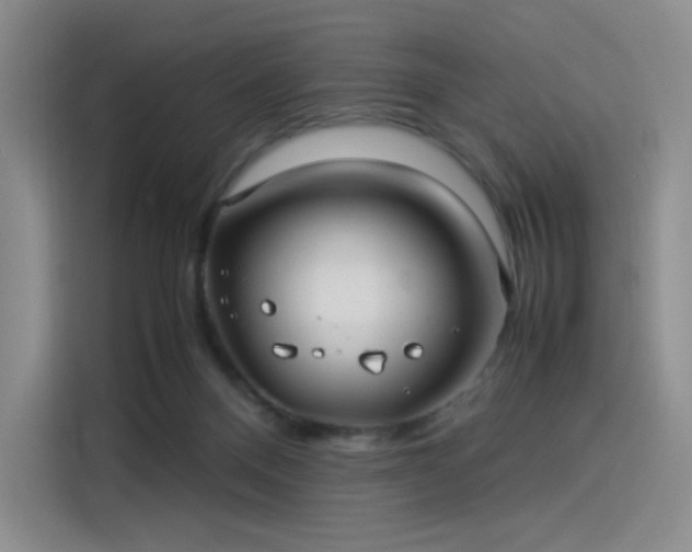 X0000114190120200910161212