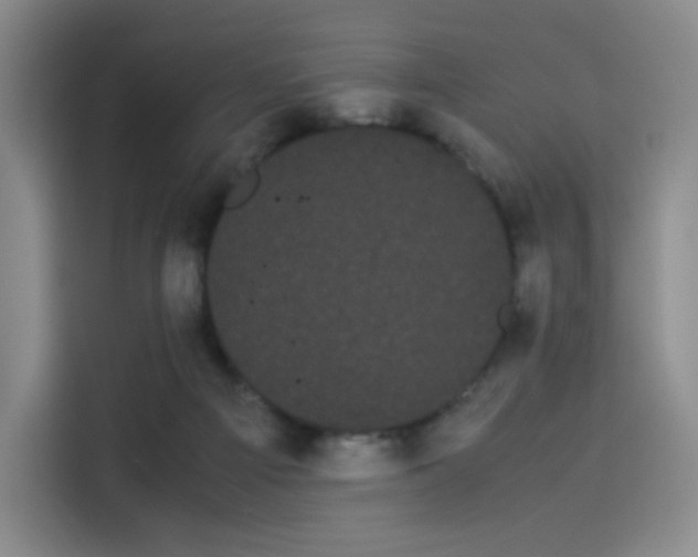 X0000114190121200910161212