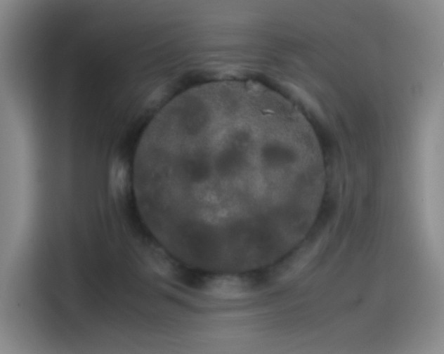 X0000114190123200910161212