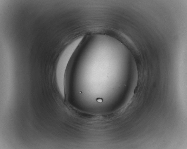 X0000114190124200910161212