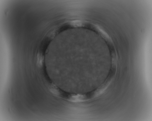 X0000114190125200910161212