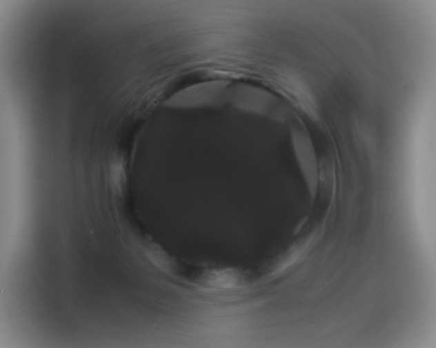 X0000114190127200910161212