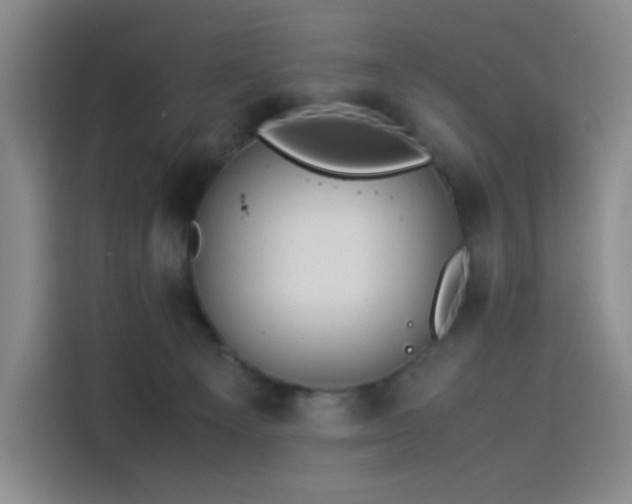 X0000114190129200910161212