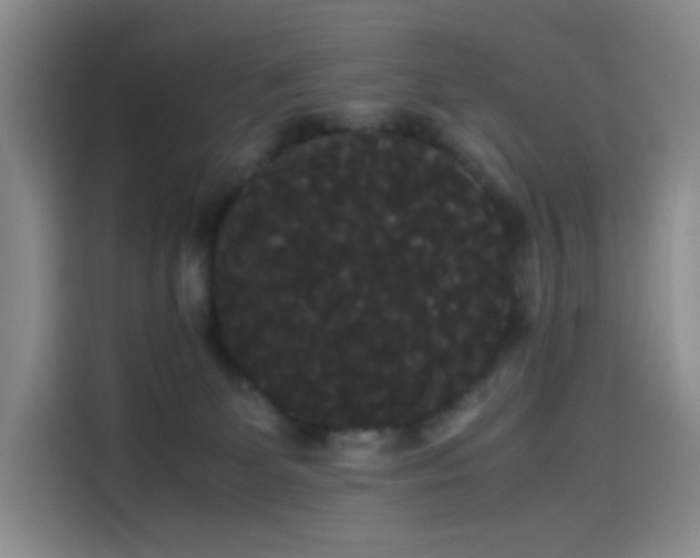 X0000114190131200910161212