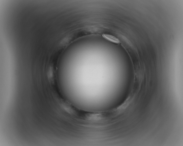 X0000114190132200910161212