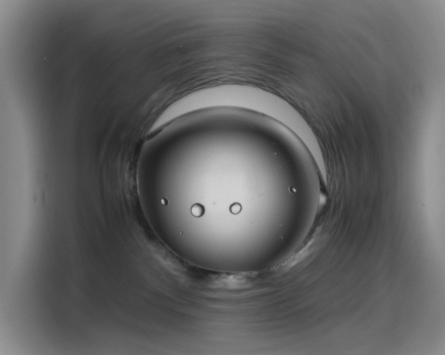 X0000114190140200910161212