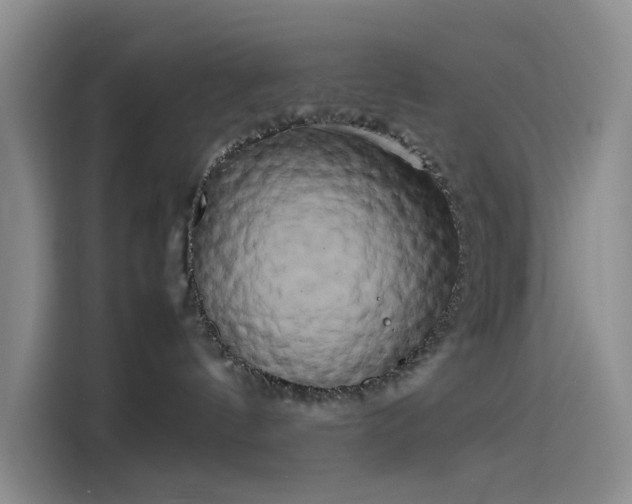 X0000114190144200910161212