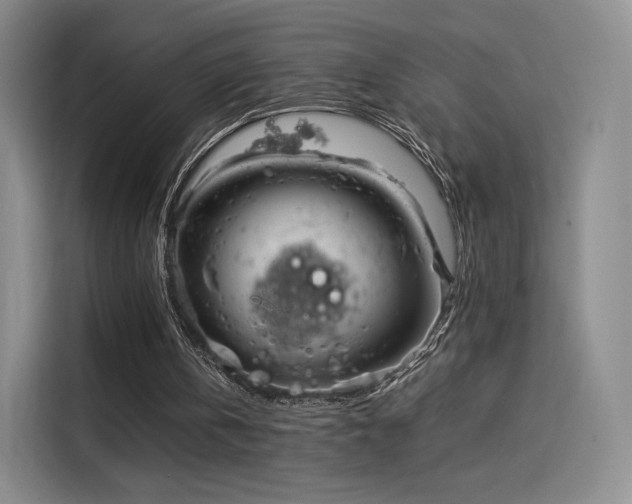 X0000114190146200910161211