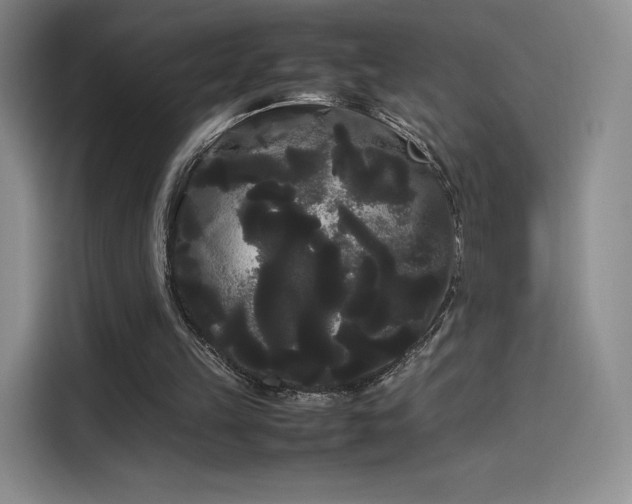 X0000114190149200910161211