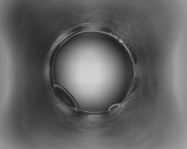 X0000114190150200910161212