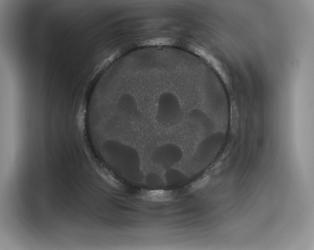 X0000114190153200910161212
