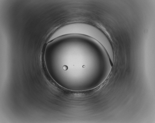 X0000114190154200910161212