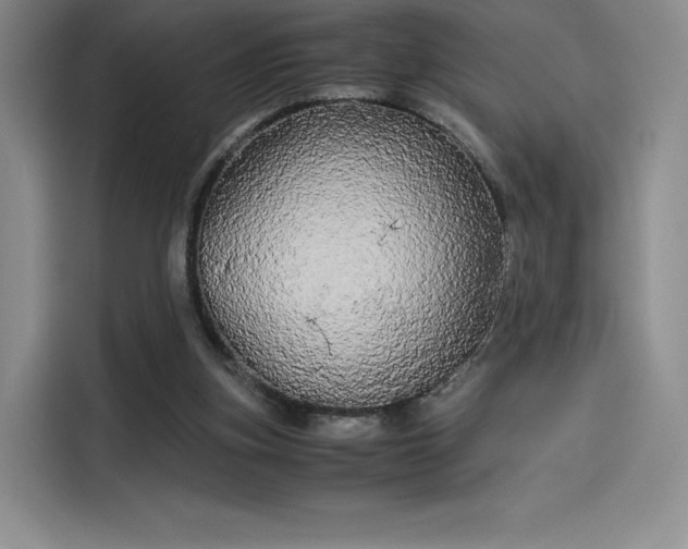 X0000114190155200910161212