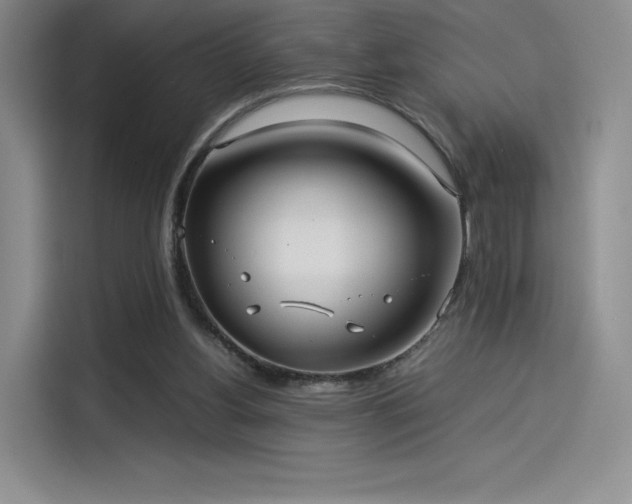 X0000114190156200910161212