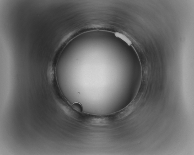 X0000114190160200910161212