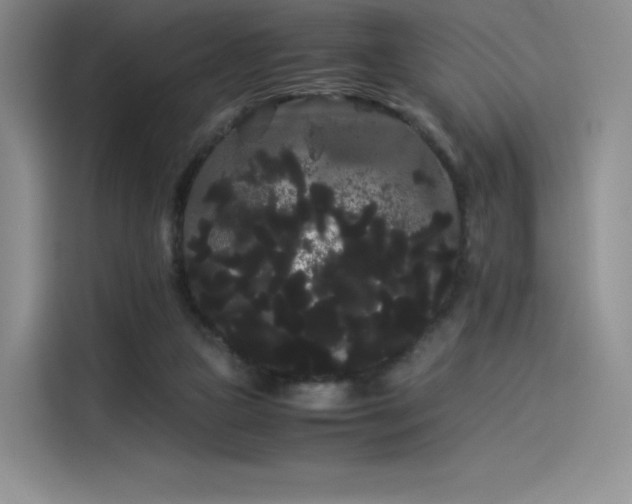 X0000114190161200910161212