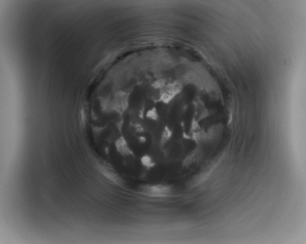 X0000114190165200910161212