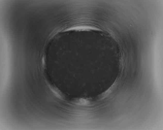 X0000114190166200910161212