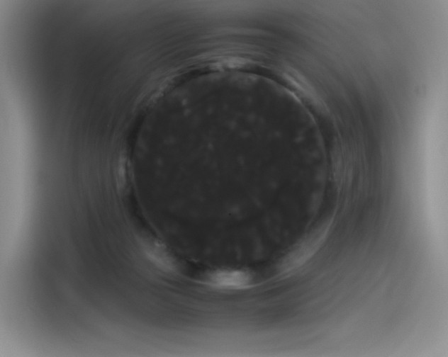 X0000114190169200910161212