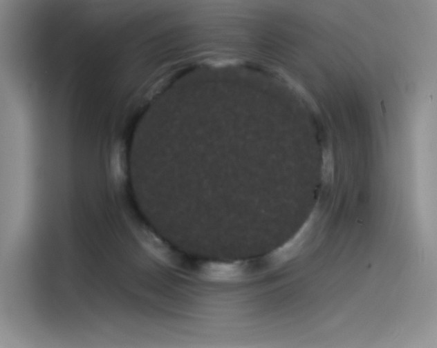 X0000114190170200910161212